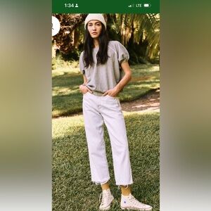 THE GREAT Easy Destroy Jean